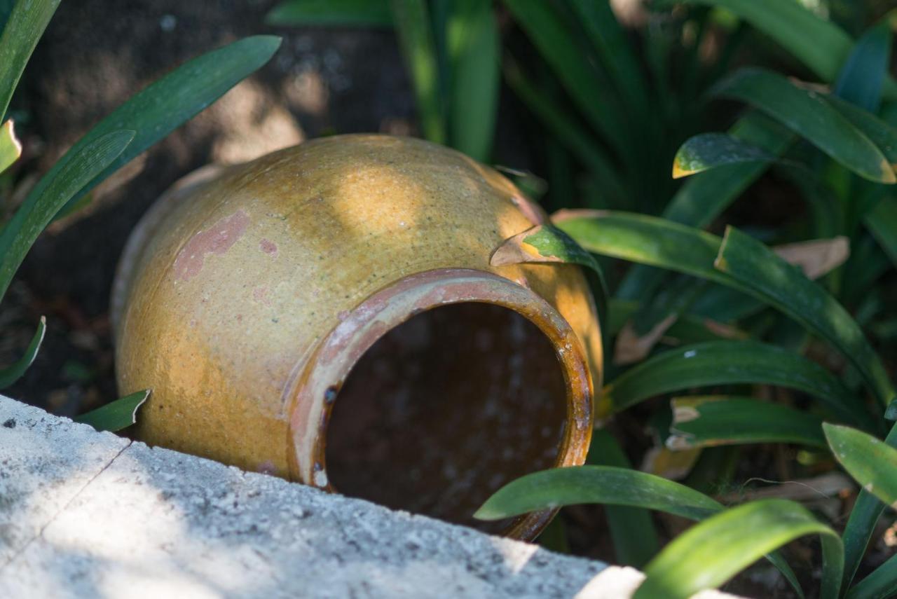Finca Coster Pollença Buitenkant foto